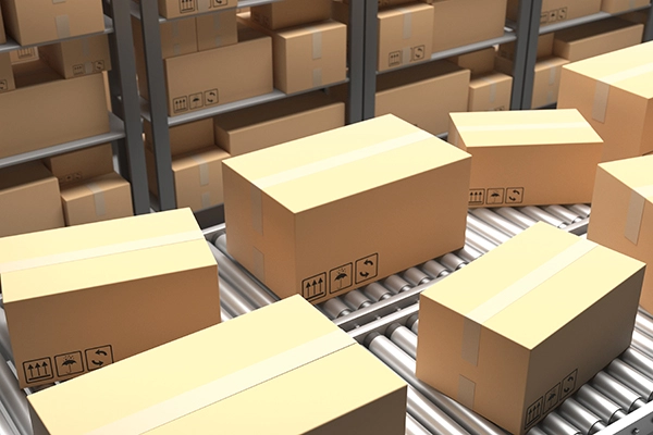 Cardboard package boxes move along a gravity roller conveyor line. Other boxes sit on shelves behind.