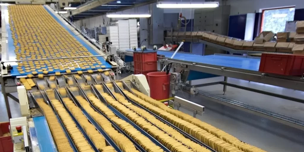 A food processing plant where a conveyor belt line transports rows of crackers.
