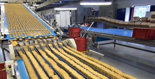 A food processing plant where a conveyor belt line transports rows of crackers.