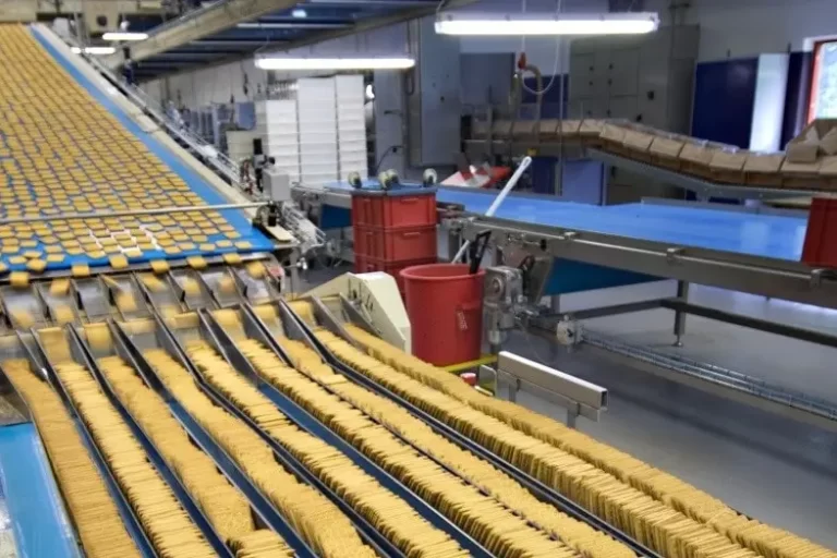 A food processing plant where a conveyor belt line transports rows of crackers.