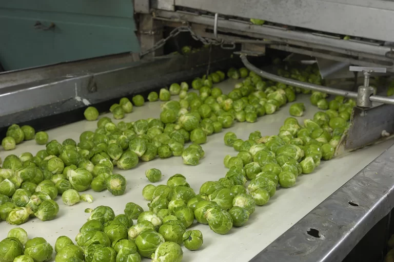 brussel sprouts on a food-safe bel